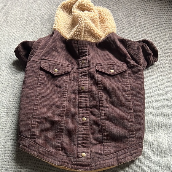 Puppy/small dog jacket - Picture 2 of 3